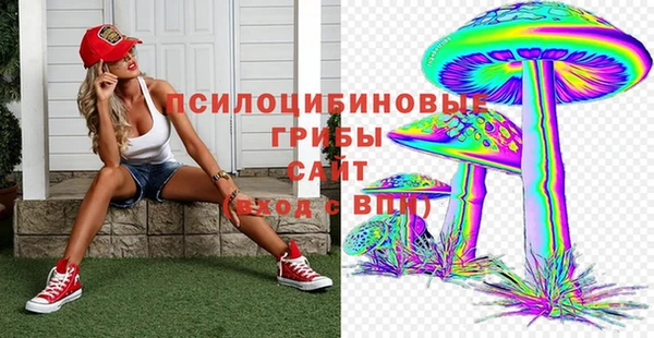 амф Абаза